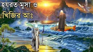 হযরত মুসা ও খিজির আঃ এর বিষ্ময়কর কাহিনী | ইসলামিক কাহিনী | Islamic signal day