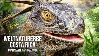 Weltnaturerbe Costa Rica - Guanacaste Nationalpark (Ganze NATUR DOKUMENTATION auf Deutsch | Doku HD)