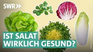 Gartensalate, Bittersalate & Co. – das steckt wirklich drin | Marktcheck SWR