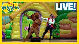 Wags the Dog He Likes to Tango  The Wiggles Live in Concert!  Fun Kids Dancing Songs