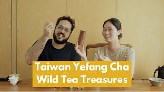 Taiwan Yefang Cha Wild Oolong Tea Tasting 野放茶 | Pesticides Free Tea | Natural Farming 自然農法