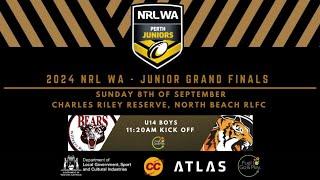 2024 NRL WA Junior Grand Final - U14 Boys Bears v Tigers