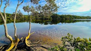 Canoe Fishing, Camping on AUSTRALIAN ESTUARY