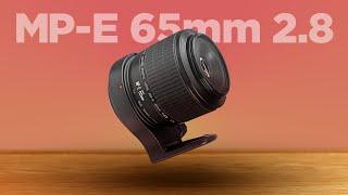 The Canon MP-E 65mm F/2.8 1-5x Macro Unique Lens Review