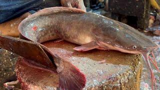 Amazing Big Magur Fish Cutting Skills In Bangladesh Fish Market | Fish Cutting Skills