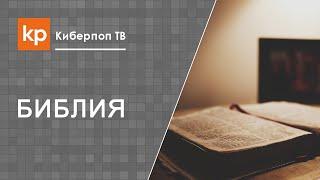 Библия синодальный перевод.  Библия с комментариями