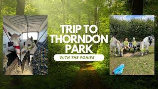 A trip out to Thorndon Park with the ponies 