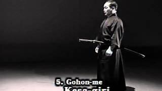 Iaido Kata Seitei 05 Gohon me   Kesa giri   High quality