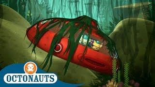 Octonauts - The Gup X Disaster | Compilation | Cartoons for Kids