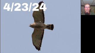 [54] HUGE Migration of 6,000 Hawks, 6 Golden Eagles at the Braddock Bay Hawk Watch, 4/23/24
