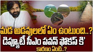 What is There in the Mangroves|Mada Forests|Latest Deputy Cm Pawan kalyan Update#deputycmpawankalyan