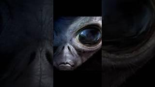 Alien Activity in Bermuda Triangle!!#infotime