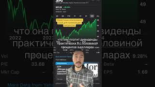 Как с нуля покупать акции и инвестировать в экономику США мигрантов в Америке