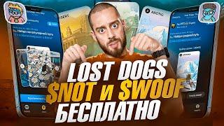 LOST DOGS - ПЕРВАЯ NOTCOIN ИГРА С БЕСПЛАТНЫМ АИРДРОПОМ