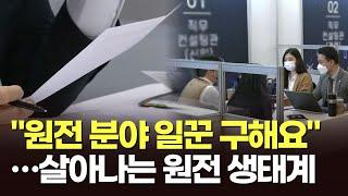 "원전 분야 일꾼 구해요"…살아나는 원전 생태계, 일자리도↑