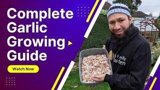 How To Grow Garlic Complete Garlic Growing Guide - Growing Garlic From Planting To Harvest