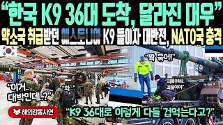 《해외감동사연》"한국 K9 36대 도착하자, 달라진 대우" 약소국 취급받던 에스토니아 K9 들이자 대 반전, NATO 참가 유럽국 충격