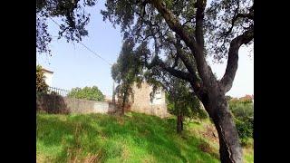 4 Bedroom Villa - Yard with 5.000m2 - Sobral do Campo - Castelo Branco - Portugal. Price: 79.000€