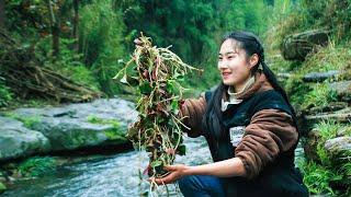 The crunchy and fragrant fish mint by the stream is so delicious｜Couple's Pastoral Life in Sichuan