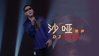 郝琪力 沙哑男声DJ小串烧