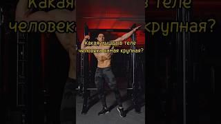 УЗНАЙ НОВОЕ  (часть-1) #shorts #развитие #опрос #видеодляглухих #узнайновое #биология