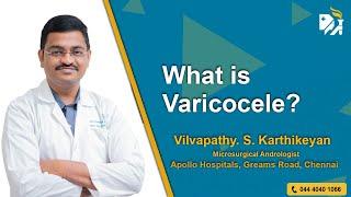 What is Varicocele?