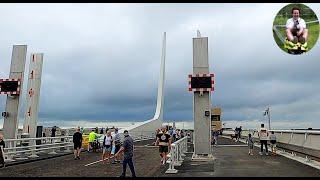 Gull Wing Bridge - Lowestoft Third Crossing (7 September 2024) Pedestrian Preview (Full)