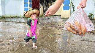 Bibi walks in the rain looking for Mom!