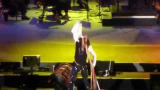 Steven Tyler & Joe Perry (Aerosmith) w/ LA Phil - CRYIN (Hollywood Bowl opening night 6/22/13)