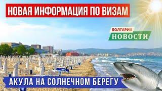 2024 Акула на Солнечном Берегу. Визы для россиян в Болгарию. Оскорбление болгар. Новости Болгарии