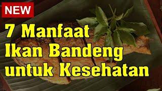 7 Manfaat Ikan Bandeng untuk Kesehatan