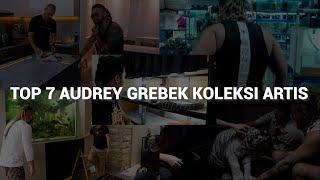 TOP 7 AUDREY GREBEK KOLEKSI ARTIS!! #Audreykingofthejungle #indoexotic