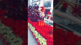 Hongkong Christmas