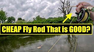 The Best Fly Rod For Beginners— Fly Fishing Eastern Kentucky