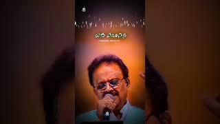 SPB song