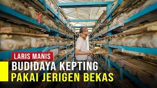 Hemat Biaya Budidaya Kepiting Sistem Apartemen Pakai Jerigen Bekas Hasil Panen Melimpah