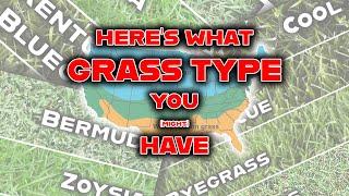 Stop! Identify your GRASS TYPE with these 3 SIMPLE steps! Your lawn care journey must begin here!