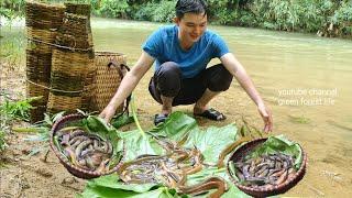 Catch fish and eels in wild stream. Robert | Green forest life