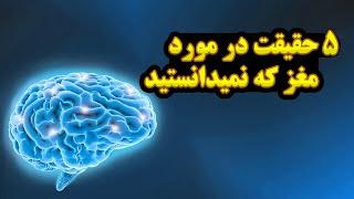 اسرار مغز | 5 واقعیت عجیبی که درباره مغز نمیدانستید