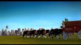 "We'll Never Forget 911" Budweiser Commercial Aired Only One Time !!!