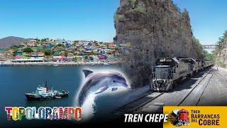 Viaje en Tren Chepe, Barrancas del Cobre, Topolobampo, Delfín el Pechocho