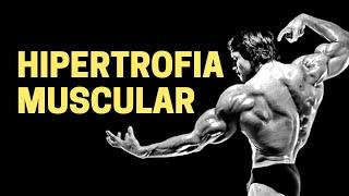 Fisiologia da Hipertrofia muscular - Fisiologia Humana