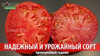Надежный и урожайный сорт томата, который многие помнят и многие выращивали 30 лет тому назад