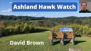 Ashland Hawk Watch 2023 Season Summary