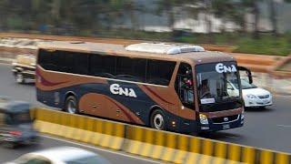 Ena All Bus |ENA Transport