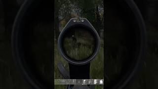 Teamwork makes the dreamwork #dayz #gaming #gamer #survival #dayzgameplay #dayzclips