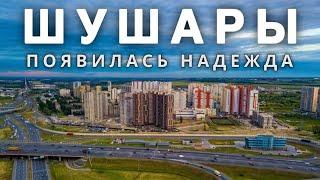 Шушары – перспективы развития