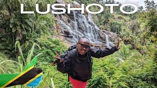 My First Impressions Of Lushoto Tanzania 2024 