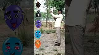 Balloon to monkey, dog, cat, elephant - Funny vfx new magic video