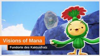 Visions of Mana: KAKTUSFRATZ – Alle Fundorte